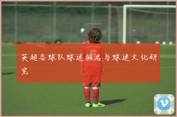 英超各球队球迷排名与球迷文化研究
