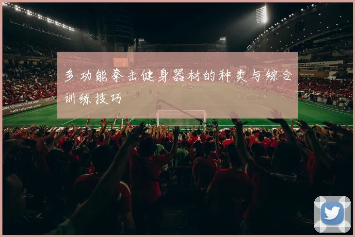 多功能拳击健身器材的种类与综合训练技巧