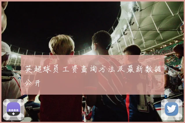 英超球员工资查询方法及最新数据公开