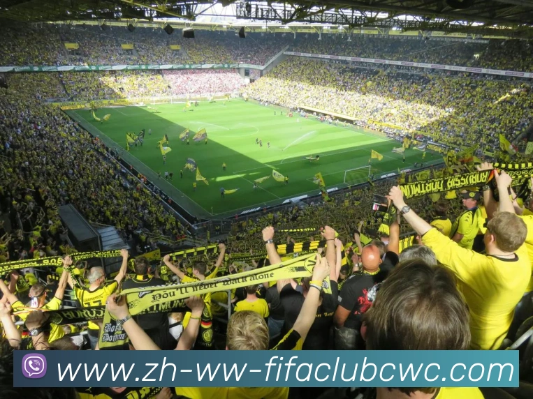 世界杯平台APP 高清赛事图