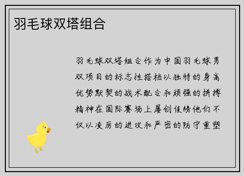 羽毛球双塔组合