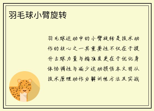 羽毛球小臂旋转